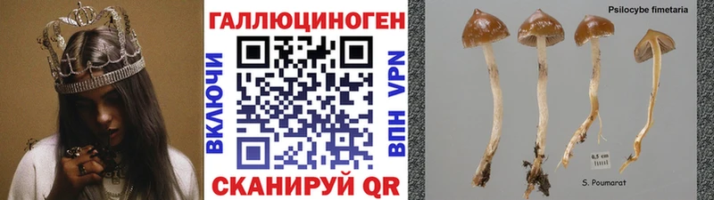 Купить закладки  Бутурлиновка  Псилоцибиновые грибы ЛСД 